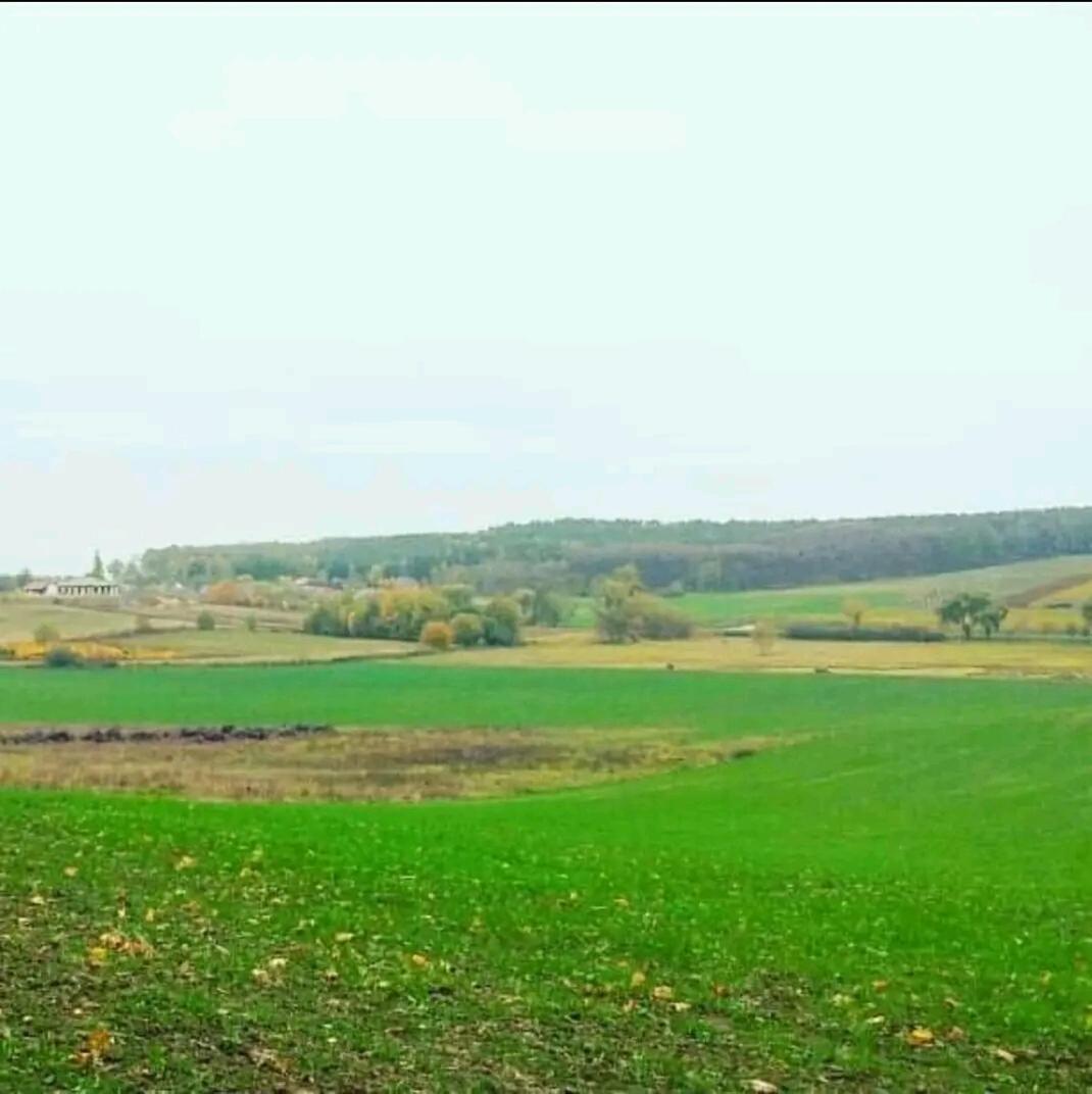 Gospodarstwo Zaborski Sad Exterior foto
